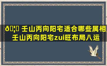 🦅 壬山丙向阳宅适合哪些属相,壬山丙向阳宅zui
旺布局八运 🌿